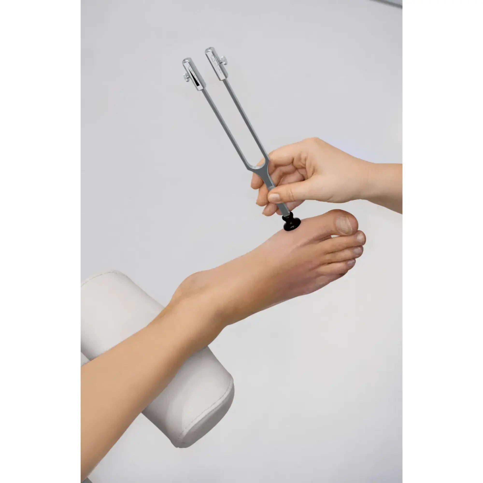 Diapason avec étui - Ruck Ruck