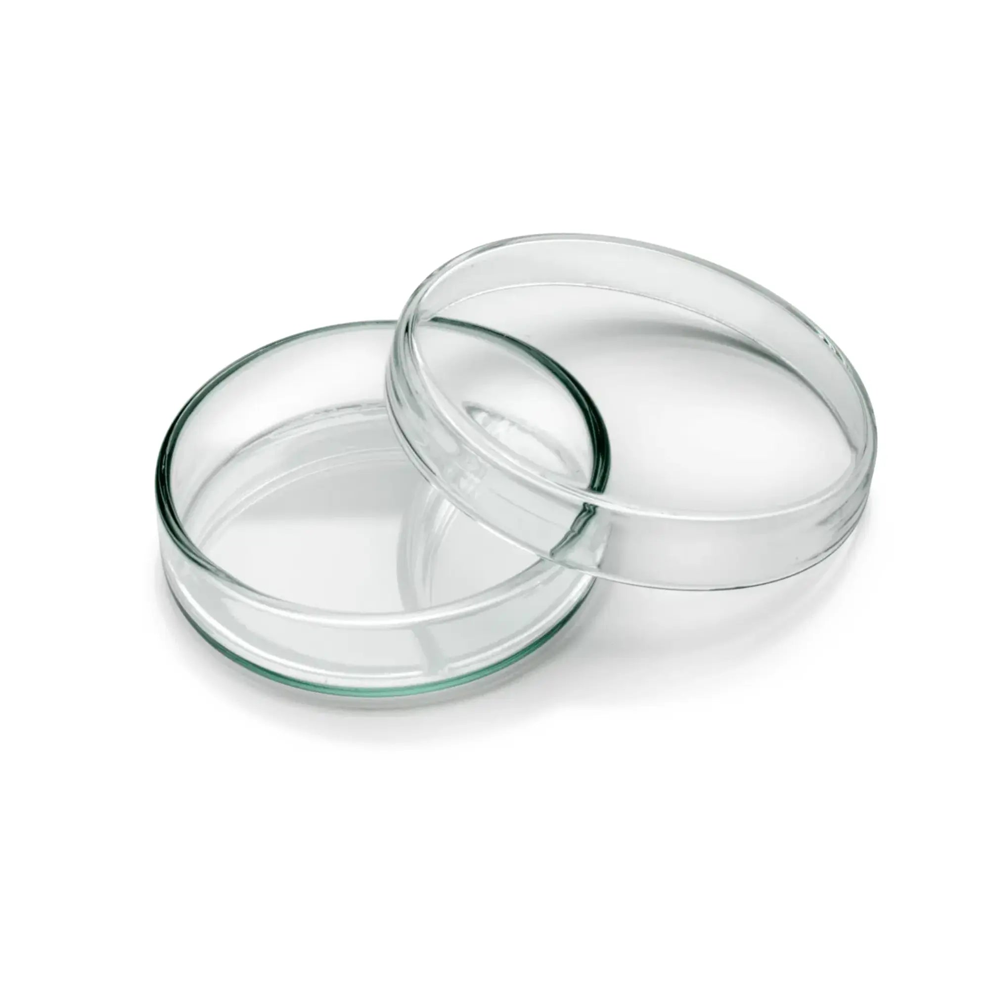 Insert en verre - Ruck Ruck