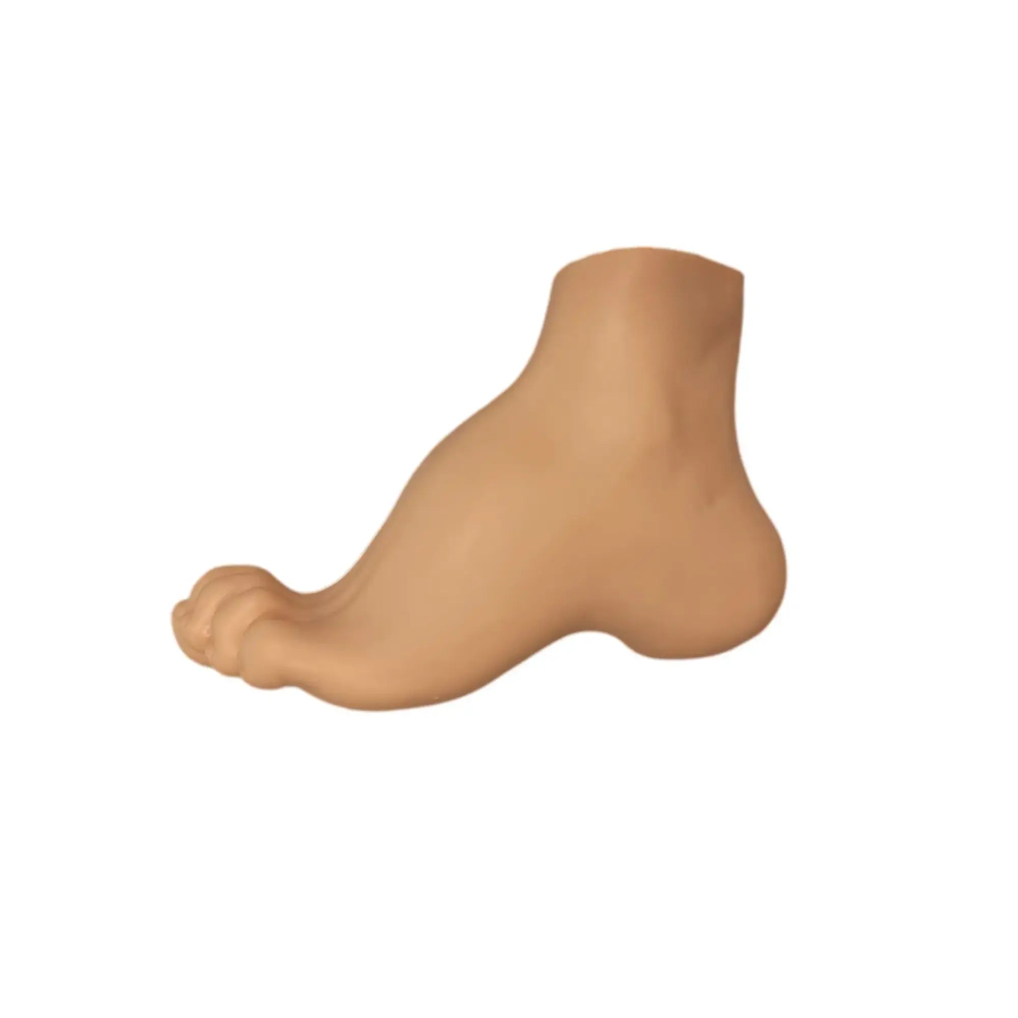 Modèle de pied creux - Herbitas Herbitas