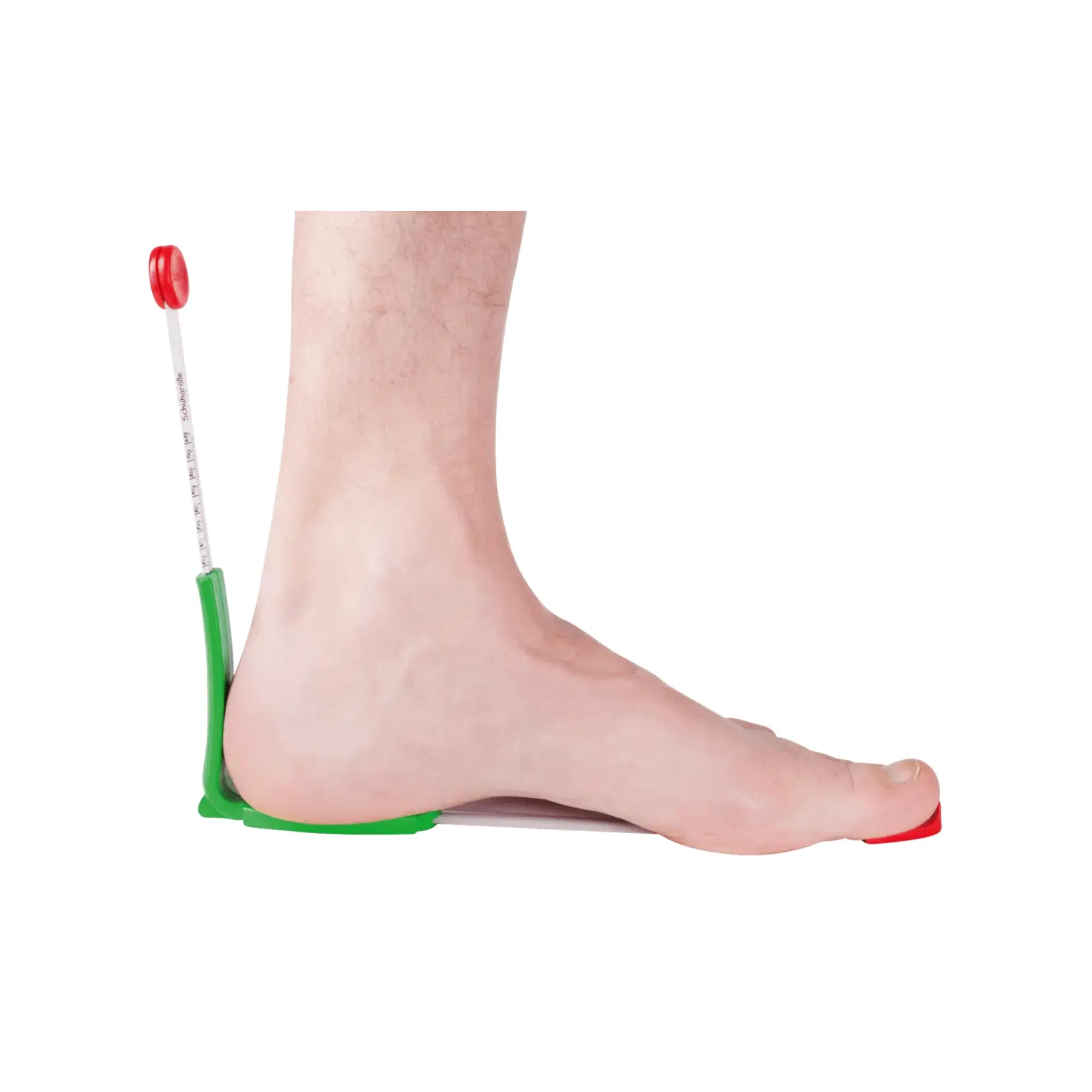 Système de mesure du pied et de la chaussure - Ruck Ruck