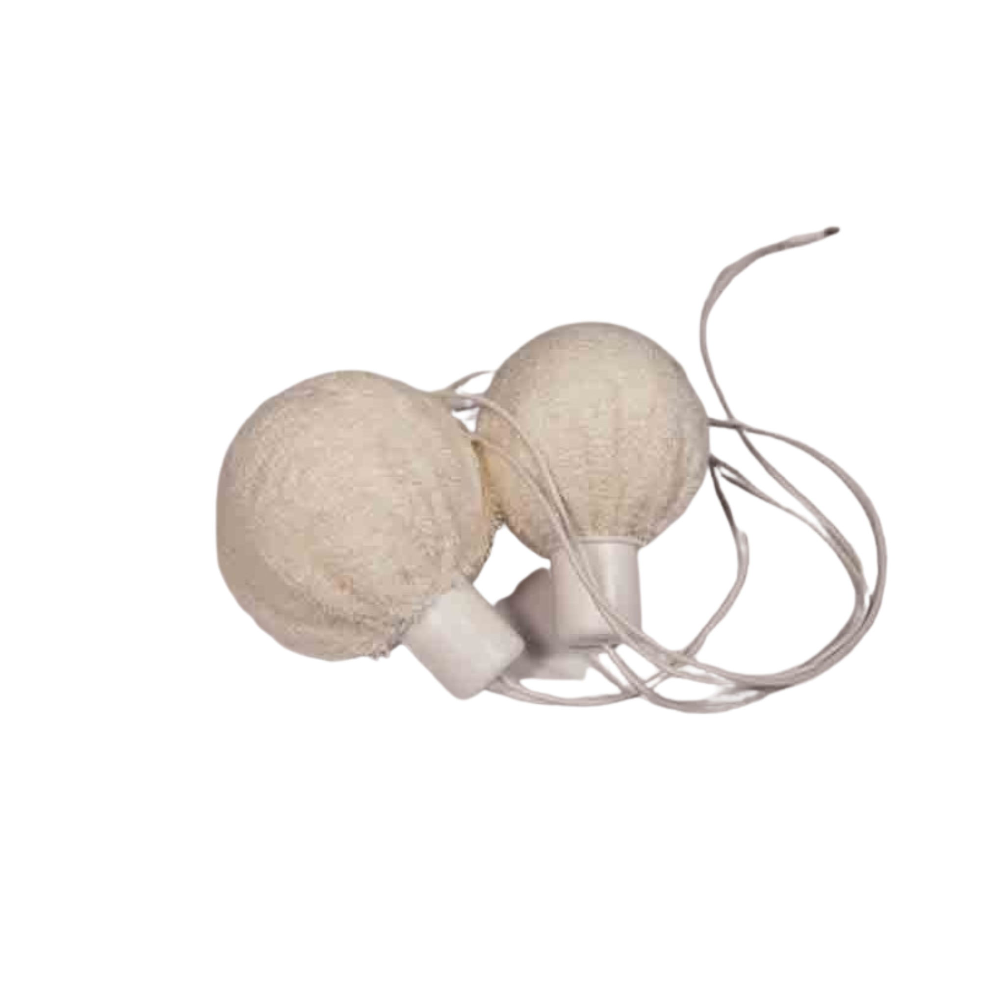 AXILLA Kit - I2M Laboratories