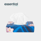 Soft and durable 2-ply handkerchiefs - Box of 100 handkerchiefs